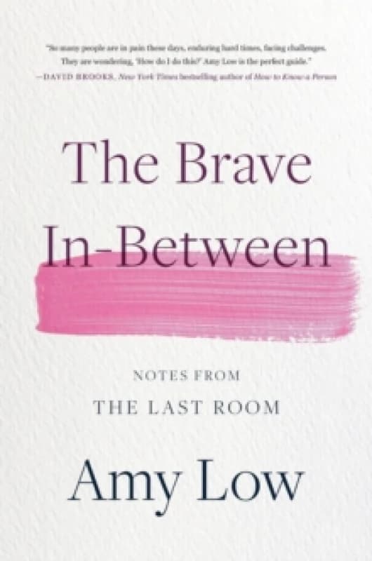 The Brave In-Between. Hardback. By Amy Low Books