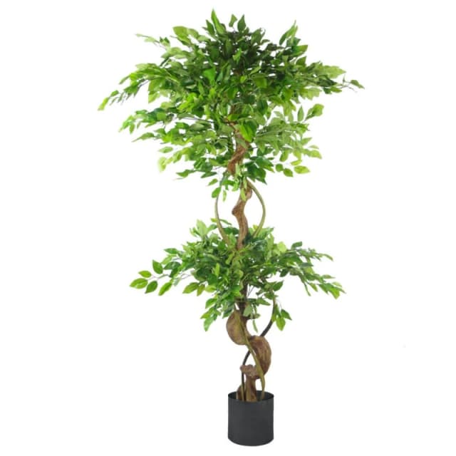 Leaf 150cm Twisted Trunk Artificial Ficus Tree - Black Planter