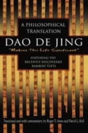 dao de jing a philosophical translation