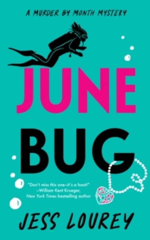 June Bug Paperback / softback