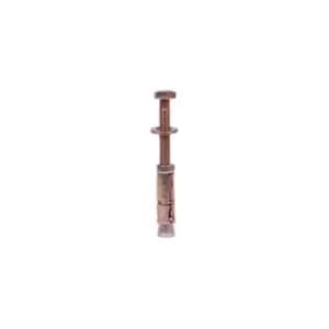 Fischer 42851 Bp Wb 10/75L Wall Bolt (5) - ,