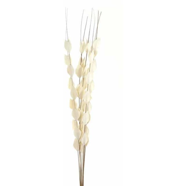 HILL INTERIORS Hill Interiors - Bouquet of Dried Thlaspi Arvense Artificial Plant - L16 x W16 x H120cm - White HillinDriThlaspiArvense22203