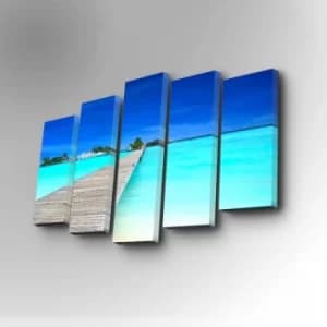 5PUC-027 Multicolor Decorative Canvas Painting (5 Pieces)