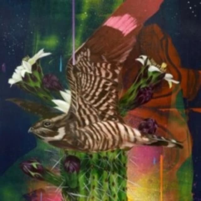 Playa Larga/1900 Ocean Ave. Vinyl