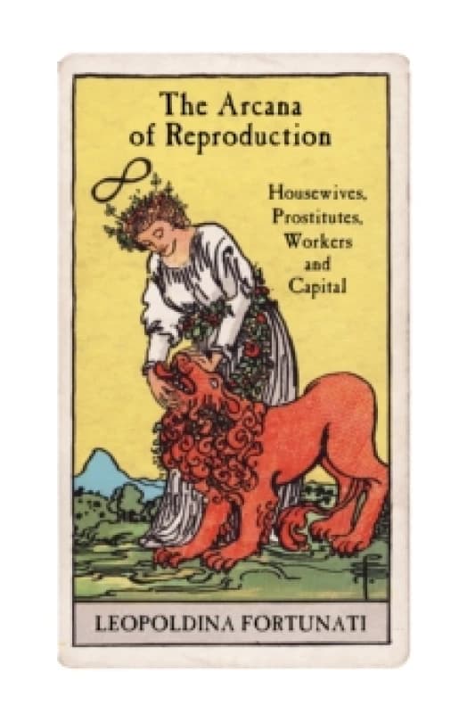 The Arcana of Reproduction : housewives, prostitutes, workers and capital Paperback / softback