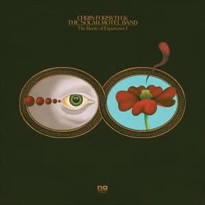 Chris Forsyth & Koen Holtkamp - The Rarity Of Experience Pts. I & Ii Vinyl