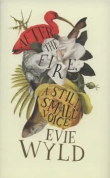 After the Fire a Still Small Voice by Evie Wyld Hardback