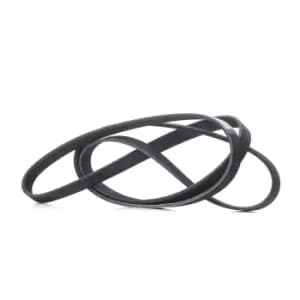 RIDEX V-ribbed belt 305P0096 Serpentine belt,Auxiliary belt VW,MERCEDES-BENZ,FORD,Transporter IV Bus (70B, 70C, 7DB, 7DK, 70J, 70K, 7DC, 7DJ)