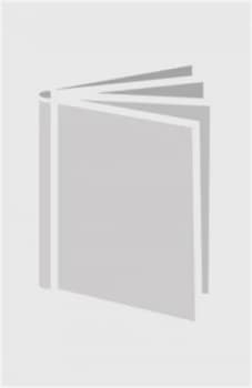 The Irish princess by Elizabeth Chadwick