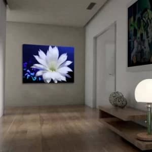 701002021C-006 Multicolor Decorative Canvas Painting