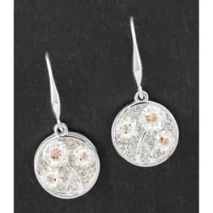 Botanicall Two Tone Glam Gerbera Earrings