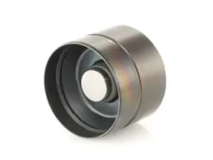 INA Tappet VW,AUDI,FORD 420 0209 10 038109309A,038109309B,038109309C Valve Tappet,Engine Tappet,Cam Buckets,Hydraulic Lifter,Rocker/ Tappet 1100677