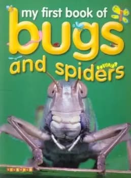 My first book of bugs & spiders by Dee Phillips