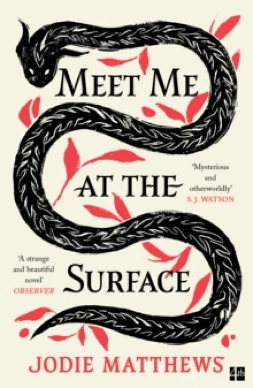 Meet Me at the Surface. Paperback. By Jodie Matthews Books
