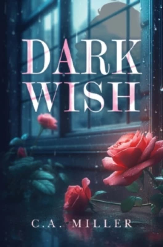 Dark Wish Paperback / softback