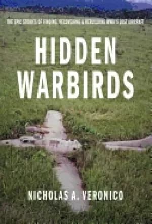 hidden warbirds the epic stories of finding recovering and rebuilding wwiis