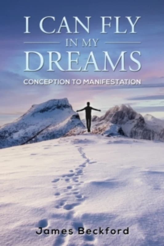 I Can Fly in My Dreams: Conception to Manifestation Paperback / softback