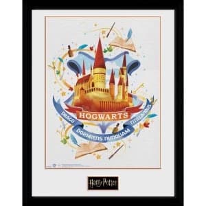 Harry Potter Hogwarts Paint Framed Collector Print