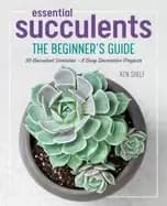 essential succulents the beginners guide