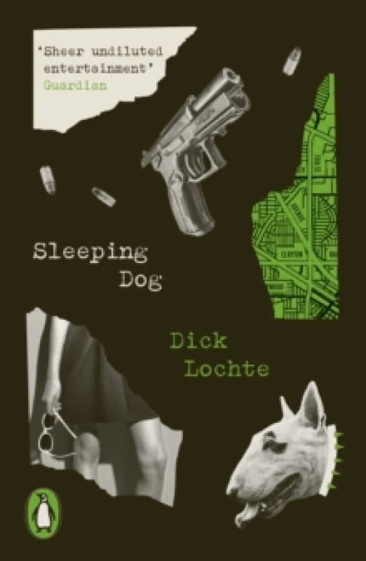 Sleeping Dog. Paperback. By Dick Lochte Books