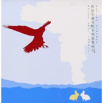 Sufjan Stevens - Enjoy Your Rabbit Vinyl