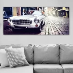 YTY231201025_50120 Multicolor Decorative Canvas Painting