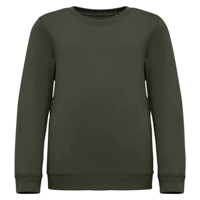 Native Spirit PC5120 girls's Children's sweater in Multicolour