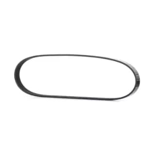 RIDEX V-ribbed belt VW,AUDI,SKODA 305P0391 Serpentine belt,Auxiliary belt,Poly V-belt,Ribbed belt,Multi V-belt,Poly belt