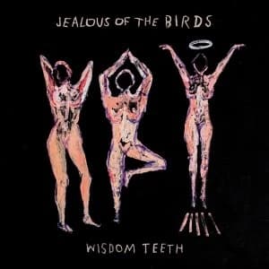 Jealous Of The Birds - Wisdom Teeth Vinyl