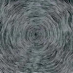 Bleeding Heart Pigeons - Is Vinyl