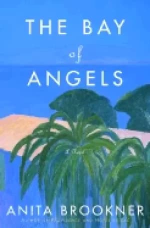 bay of angels a novel