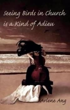 Seeing Birds in Church Is a Kind of Adieu by Arlene Ang Paperback