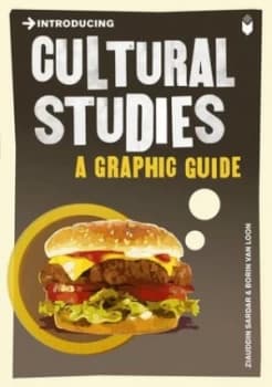 Introducing Cultural Studies by Ziauddin Sardar Book
