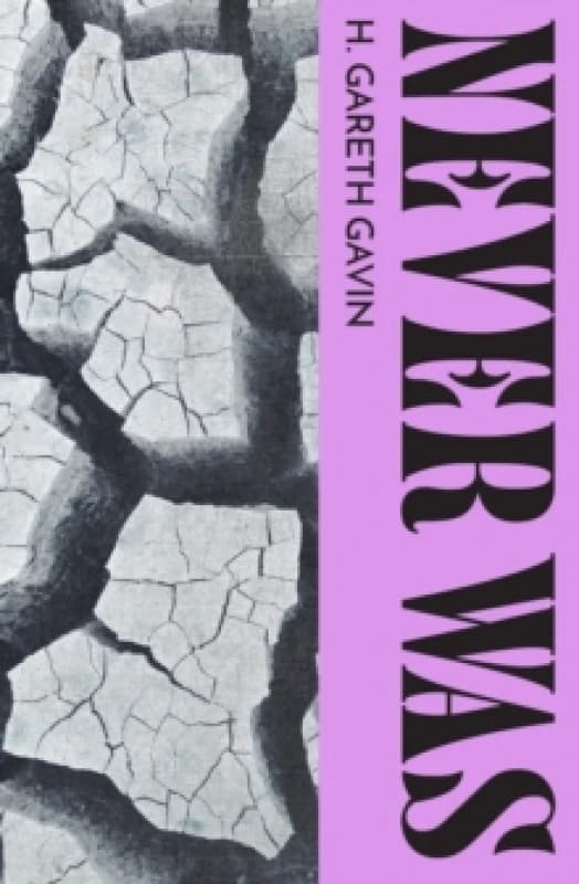 Never Was Paperback / softback