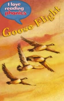 Goose Flight by Lucy George Hardback