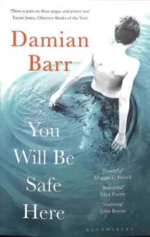 You will be safe here by Damian Barr