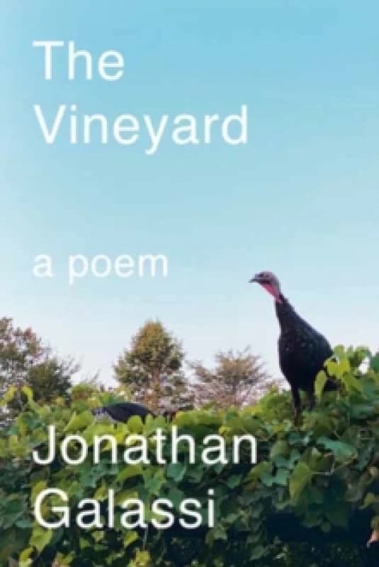 The Vineyard : A Poem Hardback