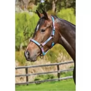Weatherbeeta Ombre Headcollar - Brown