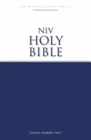 niv economy bible paperback accurate readable clear