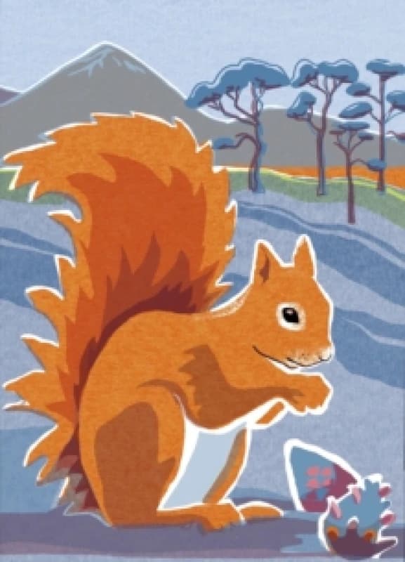 Nature Notebook: Red Squirrel Notebook / blank book