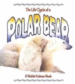 Life Cycle of a Polar Bear by Rebecca Sjonger Paperback