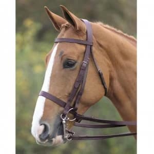 Shires Aviemore Double Bridle - Havana