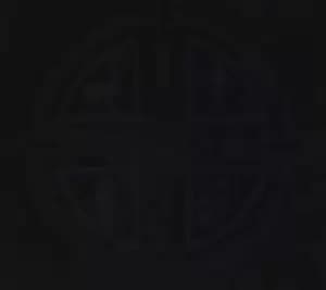 A Filthy Orgy of Horror and Death by Morbid Slaughter Vinyl Album