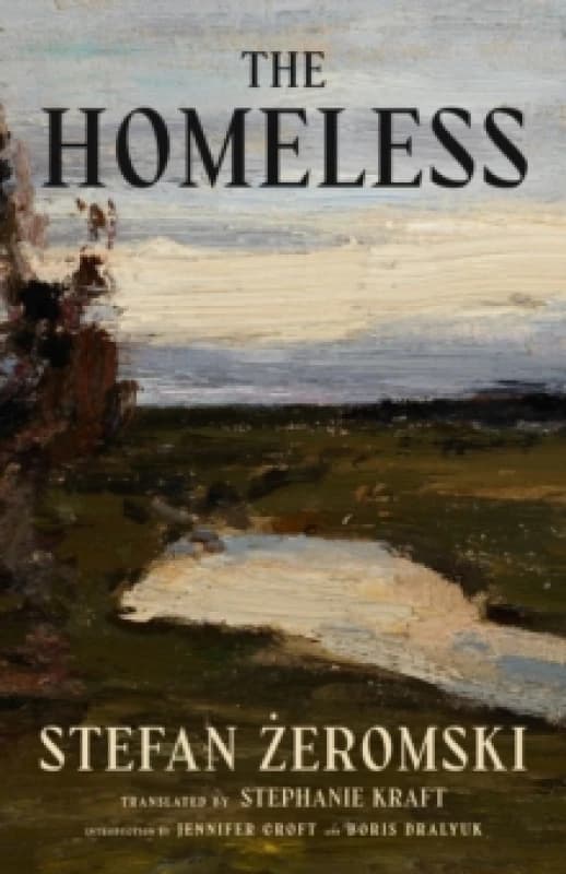 The Homeless Paperback / softback