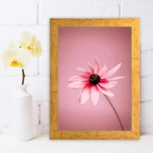 AC346430355 Multicolor Decorative Framed MDF Painting