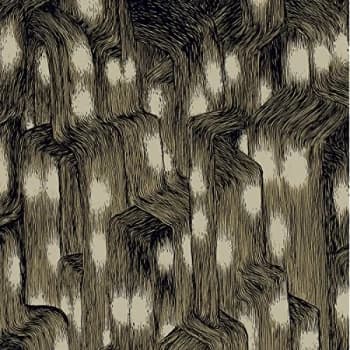 Trevor De Brauw - Uptown CD