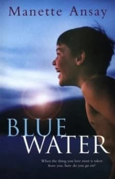 Blue Water by Manette Ansay Book