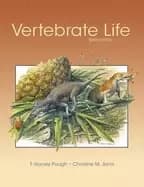 vertebrate life