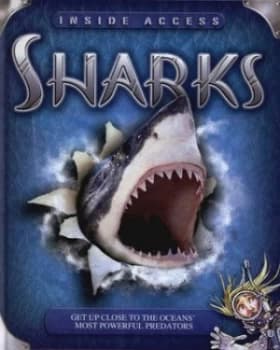 Sharks by Stephen Savage Hardback