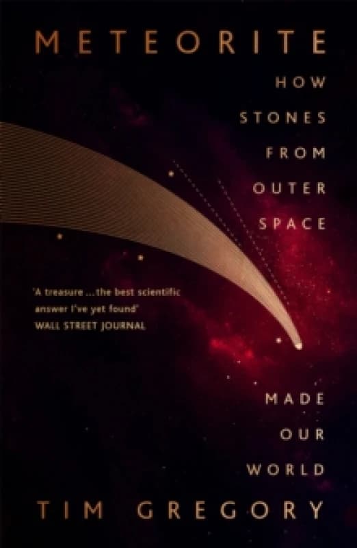 Meteorite : How Stones From Outer Space Made Our World Paperback / softback